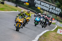 Oulton-Park-17-Aug-2018;PJ-Motorsport-Photography-2018;anglesey;brands-hatch;cadwell-park;croft;donington-park;enduro-digital-images;event-digital-images;eventdigitalimages;mallory;no-limits;oulton-park;peter-wileman-photography;racing-digital-images;silverstone;snetterton;trackday-digital-images;trackday-photos;vmcc-banbury-run;welsh-2-day-enduro