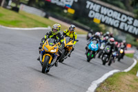 Oulton-Park-17-Aug-2018;PJ-Motorsport-Photography-2018;anglesey;brands-hatch;cadwell-park;croft;donington-park;enduro-digital-images;event-digital-images;eventdigitalimages;mallory;no-limits;oulton-park;peter-wileman-photography;racing-digital-images;silverstone;snetterton;trackday-digital-images;trackday-photos;vmcc-banbury-run;welsh-2-day-enduro