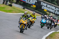 Oulton-Park-17-Aug-2018;PJ-Motorsport-Photography-2018;anglesey;brands-hatch;cadwell-park;croft;donington-park;enduro-digital-images;event-digital-images;eventdigitalimages;mallory;no-limits;oulton-park;peter-wileman-photography;racing-digital-images;silverstone;snetterton;trackday-digital-images;trackday-photos;vmcc-banbury-run;welsh-2-day-enduro
