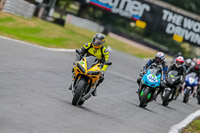 Oulton-Park-17-Aug-2018;PJ-Motorsport-Photography-2018;anglesey;brands-hatch;cadwell-park;croft;donington-park;enduro-digital-images;event-digital-images;eventdigitalimages;mallory;no-limits;oulton-park;peter-wileman-photography;racing-digital-images;silverstone;snetterton;trackday-digital-images;trackday-photos;vmcc-banbury-run;welsh-2-day-enduro