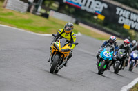 Oulton-Park-17-Aug-2018;PJ-Motorsport-Photography-2018;anglesey;brands-hatch;cadwell-park;croft;donington-park;enduro-digital-images;event-digital-images;eventdigitalimages;mallory;no-limits;oulton-park;peter-wileman-photography;racing-digital-images;silverstone;snetterton;trackday-digital-images;trackday-photos;vmcc-banbury-run;welsh-2-day-enduro