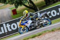 Oulton-Park-17-Aug-2018;PJ-Motorsport-Photography-2018;anglesey;brands-hatch;cadwell-park;croft;donington-park;enduro-digital-images;event-digital-images;eventdigitalimages;mallory;no-limits;oulton-park;peter-wileman-photography;racing-digital-images;silverstone;snetterton;trackday-digital-images;trackday-photos;vmcc-banbury-run;welsh-2-day-enduro
