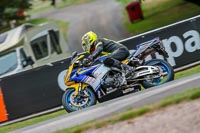 Oulton-Park-17-Aug-2018;PJ-Motorsport-Photography-2018;anglesey;brands-hatch;cadwell-park;croft;donington-park;enduro-digital-images;event-digital-images;eventdigitalimages;mallory;no-limits;oulton-park;peter-wileman-photography;racing-digital-images;silverstone;snetterton;trackday-digital-images;trackday-photos;vmcc-banbury-run;welsh-2-day-enduro