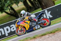 Oulton-Park-17-Aug-2018;PJ-Motorsport-Photography-2018;anglesey;brands-hatch;cadwell-park;croft;donington-park;enduro-digital-images;event-digital-images;eventdigitalimages;mallory;no-limits;oulton-park;peter-wileman-photography;racing-digital-images;silverstone;snetterton;trackday-digital-images;trackday-photos;vmcc-banbury-run;welsh-2-day-enduro