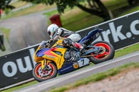 Oulton-Park-17-Aug-2018;PJ-Motorsport-Photography-2018;anglesey;brands-hatch;cadwell-park;croft;donington-park;enduro-digital-images;event-digital-images;eventdigitalimages;mallory;no-limits;oulton-park;peter-wileman-photography;racing-digital-images;silverstone;snetterton;trackday-digital-images;trackday-photos;vmcc-banbury-run;welsh-2-day-enduro