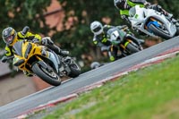 Oulton-Park-17-Aug-2018;PJ-Motorsport-Photography-2018;anglesey;brands-hatch;cadwell-park;croft;donington-park;enduro-digital-images;event-digital-images;eventdigitalimages;mallory;no-limits;oulton-park;peter-wileman-photography;racing-digital-images;silverstone;snetterton;trackday-digital-images;trackday-photos;vmcc-banbury-run;welsh-2-day-enduro