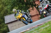 Oulton-Park-17-Aug-2018;PJ-Motorsport-Photography-2018;anglesey;brands-hatch;cadwell-park;croft;donington-park;enduro-digital-images;event-digital-images;eventdigitalimages;mallory;no-limits;oulton-park;peter-wileman-photography;racing-digital-images;silverstone;snetterton;trackday-digital-images;trackday-photos;vmcc-banbury-run;welsh-2-day-enduro