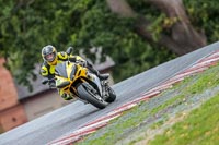 Oulton-Park-17-Aug-2018;PJ-Motorsport-Photography-2018;anglesey;brands-hatch;cadwell-park;croft;donington-park;enduro-digital-images;event-digital-images;eventdigitalimages;mallory;no-limits;oulton-park;peter-wileman-photography;racing-digital-images;silverstone;snetterton;trackday-digital-images;trackday-photos;vmcc-banbury-run;welsh-2-day-enduro
