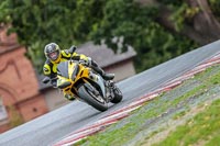 Oulton-Park-17-Aug-2018;PJ-Motorsport-Photography-2018;anglesey;brands-hatch;cadwell-park;croft;donington-park;enduro-digital-images;event-digital-images;eventdigitalimages;mallory;no-limits;oulton-park;peter-wileman-photography;racing-digital-images;silverstone;snetterton;trackday-digital-images;trackday-photos;vmcc-banbury-run;welsh-2-day-enduro