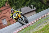 Oulton-Park-17-Aug-2018;PJ-Motorsport-Photography-2018;anglesey;brands-hatch;cadwell-park;croft;donington-park;enduro-digital-images;event-digital-images;eventdigitalimages;mallory;no-limits;oulton-park;peter-wileman-photography;racing-digital-images;silverstone;snetterton;trackday-digital-images;trackday-photos;vmcc-banbury-run;welsh-2-day-enduro