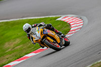 Oulton-Park-17-Aug-2018;PJ-Motorsport-Photography-2018;anglesey;brands-hatch;cadwell-park;croft;donington-park;enduro-digital-images;event-digital-images;eventdigitalimages;mallory;no-limits;oulton-park;peter-wileman-photography;racing-digital-images;silverstone;snetterton;trackday-digital-images;trackday-photos;vmcc-banbury-run;welsh-2-day-enduro
