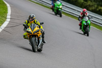 Oulton-Park-17-Aug-2018;PJ-Motorsport-Photography-2018;anglesey;brands-hatch;cadwell-park;croft;donington-park;enduro-digital-images;event-digital-images;eventdigitalimages;mallory;no-limits;oulton-park;peter-wileman-photography;racing-digital-images;silverstone;snetterton;trackday-digital-images;trackday-photos;vmcc-banbury-run;welsh-2-day-enduro