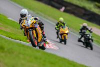 Oulton-Park-17-Aug-2018;PJ-Motorsport-Photography-2018;anglesey;brands-hatch;cadwell-park;croft;donington-park;enduro-digital-images;event-digital-images;eventdigitalimages;mallory;no-limits;oulton-park;peter-wileman-photography;racing-digital-images;silverstone;snetterton;trackday-digital-images;trackday-photos;vmcc-banbury-run;welsh-2-day-enduro