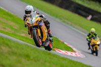 Oulton-Park-17-Aug-2018;PJ-Motorsport-Photography-2018;anglesey;brands-hatch;cadwell-park;croft;donington-park;enduro-digital-images;event-digital-images;eventdigitalimages;mallory;no-limits;oulton-park;peter-wileman-photography;racing-digital-images;silverstone;snetterton;trackday-digital-images;trackday-photos;vmcc-banbury-run;welsh-2-day-enduro