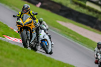 Oulton-Park-17-Aug-2018;PJ-Motorsport-Photography-2018;anglesey;brands-hatch;cadwell-park;croft;donington-park;enduro-digital-images;event-digital-images;eventdigitalimages;mallory;no-limits;oulton-park;peter-wileman-photography;racing-digital-images;silverstone;snetterton;trackday-digital-images;trackday-photos;vmcc-banbury-run;welsh-2-day-enduro