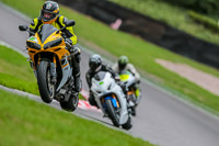 Oulton-Park-17-Aug-2018;PJ-Motorsport-Photography-2018;anglesey;brands-hatch;cadwell-park;croft;donington-park;enduro-digital-images;event-digital-images;eventdigitalimages;mallory;no-limits;oulton-park;peter-wileman-photography;racing-digital-images;silverstone;snetterton;trackday-digital-images;trackday-photos;vmcc-banbury-run;welsh-2-day-enduro