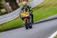 Oulton-Park-17-Aug-2018;PJ-Motorsport-Photography-2018;anglesey;brands-hatch;cadwell-park;croft;donington-park;enduro-digital-images;event-digital-images;eventdigitalimages;mallory;no-limits;oulton-park;peter-wileman-photography;racing-digital-images;silverstone;snetterton;trackday-digital-images;trackday-photos;vmcc-banbury-run;welsh-2-day-enduro