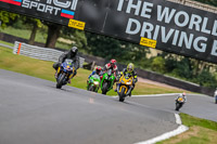Oulton-Park-17-Aug-2018;PJ-Motorsport-Photography-2018;anglesey;brands-hatch;cadwell-park;croft;donington-park;enduro-digital-images;event-digital-images;eventdigitalimages;mallory;no-limits;oulton-park;peter-wileman-photography;racing-digital-images;silverstone;snetterton;trackday-digital-images;trackday-photos;vmcc-banbury-run;welsh-2-day-enduro