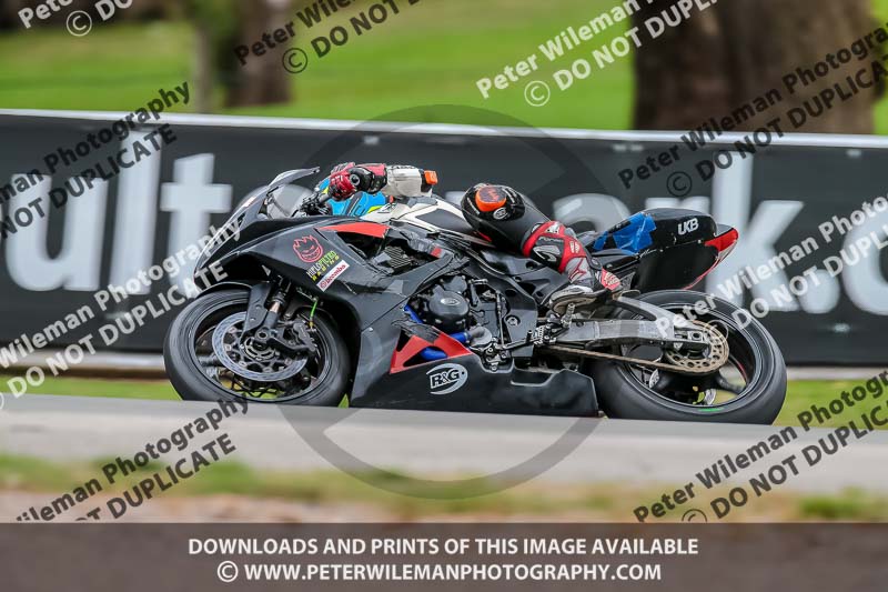 Oulton Park Track Day 18th Aug 2918;PJ Motorsport;anglesey;brands hatch;cadwell park;croft;donington park;enduro digital images;event digital images;eventdigitalimages;mallory;no limits;oulton park;peter wileman photography;racing digital images;silverstone;snetterton;trackday digital images;trackday photos;vmcc banbury run;welsh 2 day enduro