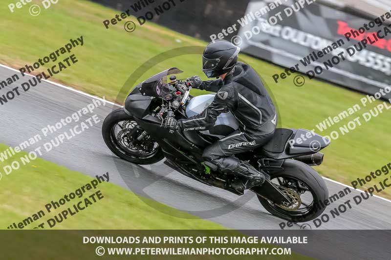 Oulton Park Track Day 18th Aug 2918;PJ Motorsport;anglesey;brands hatch;cadwell park;croft;donington park;enduro digital images;event digital images;eventdigitalimages;mallory;no limits;oulton park;peter wileman photography;racing digital images;silverstone;snetterton;trackday digital images;trackday photos;vmcc banbury run;welsh 2 day enduro