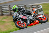 Oulton-Park-Track-Day-18th-Aug-2918;PJ-Motorsport;anglesey;brands-hatch;cadwell-park;croft;donington-park;enduro-digital-images;event-digital-images;eventdigitalimages;mallory;no-limits;oulton-park;peter-wileman-photography;racing-digital-images;silverstone;snetterton;trackday-digital-images;trackday-photos;vmcc-banbury-run;welsh-2-day-enduro