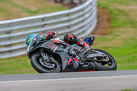 Oulton-Park-Track-Day-18th-Aug-2918;PJ-Motorsport;anglesey;brands-hatch;cadwell-park;croft;donington-park;enduro-digital-images;event-digital-images;eventdigitalimages;mallory;no-limits;oulton-park;peter-wileman-photography;racing-digital-images;silverstone;snetterton;trackday-digital-images;trackday-photos;vmcc-banbury-run;welsh-2-day-enduro