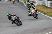 Oulton-Park-Track-Day-18th-Aug-2918;PJ-Motorsport;anglesey;brands-hatch;cadwell-park;croft;donington-park;enduro-digital-images;event-digital-images;eventdigitalimages;mallory;no-limits;oulton-park;peter-wileman-photography;racing-digital-images;silverstone;snetterton;trackday-digital-images;trackday-photos;vmcc-banbury-run;welsh-2-day-enduro