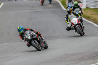 Oulton-Park-Track-Day-18th-Aug-2918;PJ-Motorsport;anglesey;brands-hatch;cadwell-park;croft;donington-park;enduro-digital-images;event-digital-images;eventdigitalimages;mallory;no-limits;oulton-park;peter-wileman-photography;racing-digital-images;silverstone;snetterton;trackday-digital-images;trackday-photos;vmcc-banbury-run;welsh-2-day-enduro