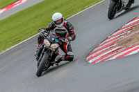 Oulton-Park-Track-Day-18th-Aug-2918;PJ-Motorsport;anglesey;brands-hatch;cadwell-park;croft;donington-park;enduro-digital-images;event-digital-images;eventdigitalimages;mallory;no-limits;oulton-park;peter-wileman-photography;racing-digital-images;silverstone;snetterton;trackday-digital-images;trackday-photos;vmcc-banbury-run;welsh-2-day-enduro