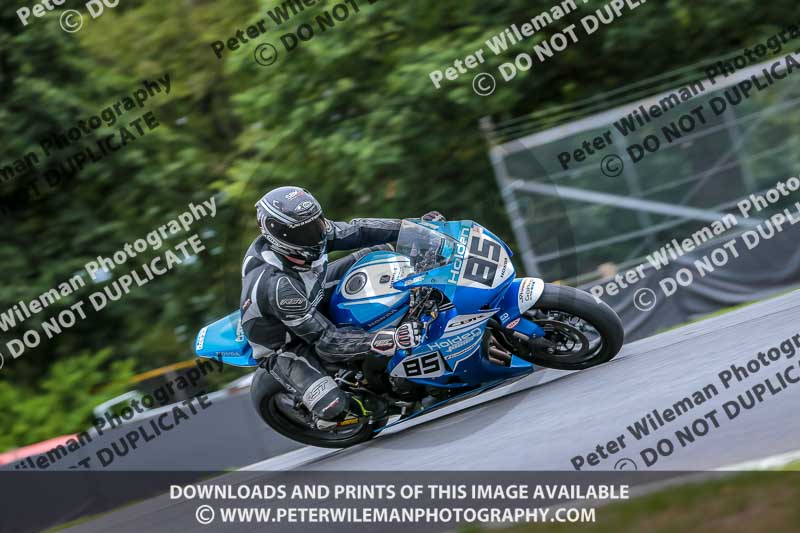 Oulton Park Track Day 18th Aug 2918;PJ Motorsport;anglesey;brands hatch;cadwell park;croft;donington park;enduro digital images;event digital images;eventdigitalimages;mallory;no limits;oulton park;peter wileman photography;racing digital images;silverstone;snetterton;trackday digital images;trackday photos;vmcc banbury run;welsh 2 day enduro