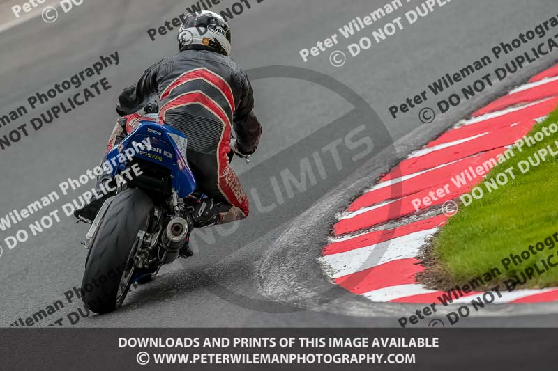 Oulton Park Track Day 18th Aug 2918;PJ Motorsport;anglesey;brands hatch;cadwell park;croft;donington park;enduro digital images;event digital images;eventdigitalimages;mallory;no limits;oulton park;peter wileman photography;racing digital images;silverstone;snetterton;trackday digital images;trackday photos;vmcc banbury run;welsh 2 day enduro