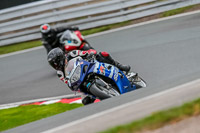 Oulton-Park-Track-Day-18th-Aug-2918;PJ-Motorsport;anglesey;brands-hatch;cadwell-park;croft;donington-park;enduro-digital-images;event-digital-images;eventdigitalimages;mallory;no-limits;oulton-park;peter-wileman-photography;racing-digital-images;silverstone;snetterton;trackday-digital-images;trackday-photos;vmcc-banbury-run;welsh-2-day-enduro