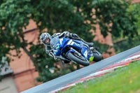 Oulton-Park-Track-Day-18th-Aug-2918;PJ-Motorsport;anglesey;brands-hatch;cadwell-park;croft;donington-park;enduro-digital-images;event-digital-images;eventdigitalimages;mallory;no-limits;oulton-park;peter-wileman-photography;racing-digital-images;silverstone;snetterton;trackday-digital-images;trackday-photos;vmcc-banbury-run;welsh-2-day-enduro