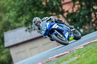 Oulton-Park-Track-Day-18th-Aug-2918;PJ-Motorsport;anglesey;brands-hatch;cadwell-park;croft;donington-park;enduro-digital-images;event-digital-images;eventdigitalimages;mallory;no-limits;oulton-park;peter-wileman-photography;racing-digital-images;silverstone;snetterton;trackday-digital-images;trackday-photos;vmcc-banbury-run;welsh-2-day-enduro