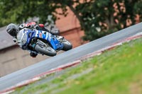 Oulton-Park-Track-Day-18th-Aug-2918;PJ-Motorsport;anglesey;brands-hatch;cadwell-park;croft;donington-park;enduro-digital-images;event-digital-images;eventdigitalimages;mallory;no-limits;oulton-park;peter-wileman-photography;racing-digital-images;silverstone;snetterton;trackday-digital-images;trackday-photos;vmcc-banbury-run;welsh-2-day-enduro