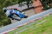 Oulton-Park-Track-Day-18th-Aug-2918;PJ-Motorsport;anglesey;brands-hatch;cadwell-park;croft;donington-park;enduro-digital-images;event-digital-images;eventdigitalimages;mallory;no-limits;oulton-park;peter-wileman-photography;racing-digital-images;silverstone;snetterton;trackday-digital-images;trackday-photos;vmcc-banbury-run;welsh-2-day-enduro