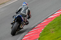 Oulton-Park-Track-Day-18th-Aug-2918;PJ-Motorsport;anglesey;brands-hatch;cadwell-park;croft;donington-park;enduro-digital-images;event-digital-images;eventdigitalimages;mallory;no-limits;oulton-park;peter-wileman-photography;racing-digital-images;silverstone;snetterton;trackday-digital-images;trackday-photos;vmcc-banbury-run;welsh-2-day-enduro