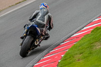 Oulton-Park-Track-Day-18th-Aug-2918;PJ-Motorsport;anglesey;brands-hatch;cadwell-park;croft;donington-park;enduro-digital-images;event-digital-images;eventdigitalimages;mallory;no-limits;oulton-park;peter-wileman-photography;racing-digital-images;silverstone;snetterton;trackday-digital-images;trackday-photos;vmcc-banbury-run;welsh-2-day-enduro