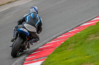 Oulton-Park-Track-Day-18th-Aug-2918;PJ-Motorsport;anglesey;brands-hatch;cadwell-park;croft;donington-park;enduro-digital-images;event-digital-images;eventdigitalimages;mallory;no-limits;oulton-park;peter-wileman-photography;racing-digital-images;silverstone;snetterton;trackday-digital-images;trackday-photos;vmcc-banbury-run;welsh-2-day-enduro