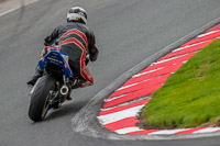 Oulton-Park-Track-Day-18th-Aug-2918;PJ-Motorsport;anglesey;brands-hatch;cadwell-park;croft;donington-park;enduro-digital-images;event-digital-images;eventdigitalimages;mallory;no-limits;oulton-park;peter-wileman-photography;racing-digital-images;silverstone;snetterton;trackday-digital-images;trackday-photos;vmcc-banbury-run;welsh-2-day-enduro