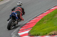 Oulton-Park-Track-Day-18th-Aug-2918;PJ-Motorsport;anglesey;brands-hatch;cadwell-park;croft;donington-park;enduro-digital-images;event-digital-images;eventdigitalimages;mallory;no-limits;oulton-park;peter-wileman-photography;racing-digital-images;silverstone;snetterton;trackday-digital-images;trackday-photos;vmcc-banbury-run;welsh-2-day-enduro
