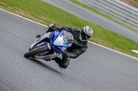 Oulton-Park-Track-Day-18th-Aug-2918;PJ-Motorsport;anglesey;brands-hatch;cadwell-park;croft;donington-park;enduro-digital-images;event-digital-images;eventdigitalimages;mallory;no-limits;oulton-park;peter-wileman-photography;racing-digital-images;silverstone;snetterton;trackday-digital-images;trackday-photos;vmcc-banbury-run;welsh-2-day-enduro