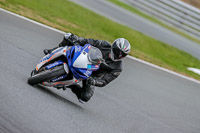 Oulton-Park-Track-Day-18th-Aug-2918;PJ-Motorsport;anglesey;brands-hatch;cadwell-park;croft;donington-park;enduro-digital-images;event-digital-images;eventdigitalimages;mallory;no-limits;oulton-park;peter-wileman-photography;racing-digital-images;silverstone;snetterton;trackday-digital-images;trackday-photos;vmcc-banbury-run;welsh-2-day-enduro