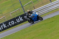 Oulton-Park-Track-Day-18th-Aug-2918;PJ-Motorsport;anglesey;brands-hatch;cadwell-park;croft;donington-park;enduro-digital-images;event-digital-images;eventdigitalimages;mallory;no-limits;oulton-park;peter-wileman-photography;racing-digital-images;silverstone;snetterton;trackday-digital-images;trackday-photos;vmcc-banbury-run;welsh-2-day-enduro
