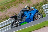 Oulton-Park-Track-Day-18th-Aug-2918;PJ-Motorsport;anglesey;brands-hatch;cadwell-park;croft;donington-park;enduro-digital-images;event-digital-images;eventdigitalimages;mallory;no-limits;oulton-park;peter-wileman-photography;racing-digital-images;silverstone;snetterton;trackday-digital-images;trackday-photos;vmcc-banbury-run;welsh-2-day-enduro