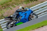 Oulton-Park-Track-Day-18th-Aug-2918;PJ-Motorsport;anglesey;brands-hatch;cadwell-park;croft;donington-park;enduro-digital-images;event-digital-images;eventdigitalimages;mallory;no-limits;oulton-park;peter-wileman-photography;racing-digital-images;silverstone;snetterton;trackday-digital-images;trackday-photos;vmcc-banbury-run;welsh-2-day-enduro