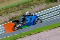 Oulton-Park-Track-Day-18th-Aug-2918;PJ-Motorsport;anglesey;brands-hatch;cadwell-park;croft;donington-park;enduro-digital-images;event-digital-images;eventdigitalimages;mallory;no-limits;oulton-park;peter-wileman-photography;racing-digital-images;silverstone;snetterton;trackday-digital-images;trackday-photos;vmcc-banbury-run;welsh-2-day-enduro