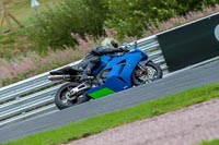 Oulton-Park-Track-Day-18th-Aug-2918;PJ-Motorsport;anglesey;brands-hatch;cadwell-park;croft;donington-park;enduro-digital-images;event-digital-images;eventdigitalimages;mallory;no-limits;oulton-park;peter-wileman-photography;racing-digital-images;silverstone;snetterton;trackday-digital-images;trackday-photos;vmcc-banbury-run;welsh-2-day-enduro