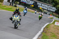 Oulton-Park-Track-Day-18th-Aug-2918;PJ-Motorsport;anglesey;brands-hatch;cadwell-park;croft;donington-park;enduro-digital-images;event-digital-images;eventdigitalimages;mallory;no-limits;oulton-park;peter-wileman-photography;racing-digital-images;silverstone;snetterton;trackday-digital-images;trackday-photos;vmcc-banbury-run;welsh-2-day-enduro