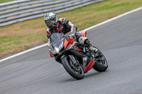 Oulton-Park-Track-Day-18th-Aug-2918;PJ-Motorsport;anglesey;brands-hatch;cadwell-park;croft;donington-park;enduro-digital-images;event-digital-images;eventdigitalimages;mallory;no-limits;oulton-park;peter-wileman-photography;racing-digital-images;silverstone;snetterton;trackday-digital-images;trackday-photos;vmcc-banbury-run;welsh-2-day-enduro